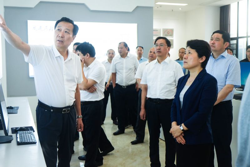 省委常委、长沙市委书记吴桂英一行莅临麒麟信安调研考察